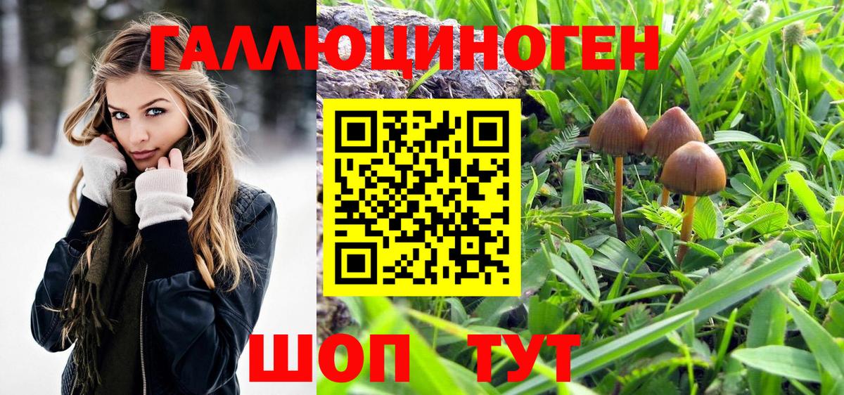 Псилоцибиновые грибы Magic Shrooms  Вход с VPN  Соликамск 